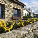 Photo of reception with daffodils